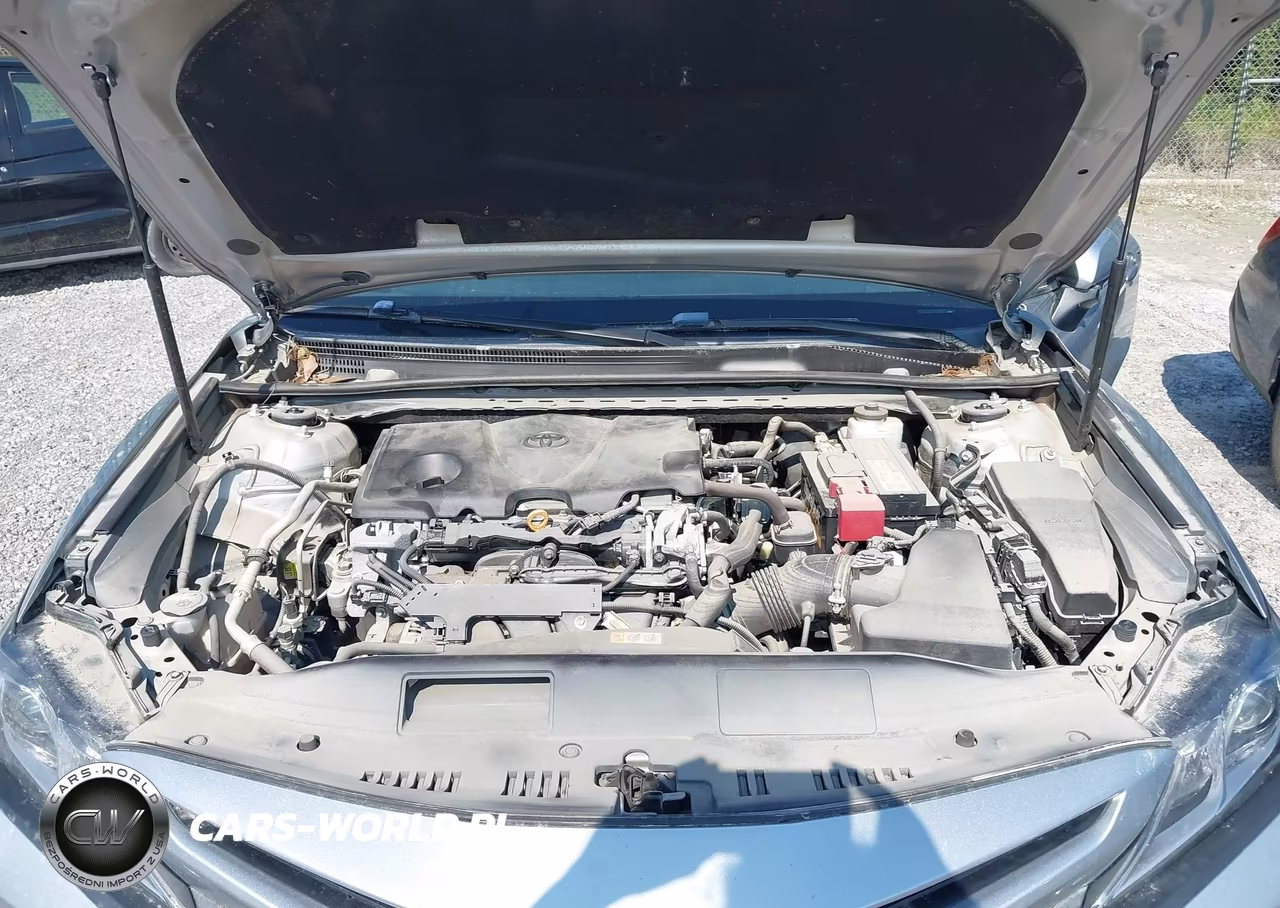 2019 Toyota Camry Se VIN:4T1B11HK2KU810562 - 10