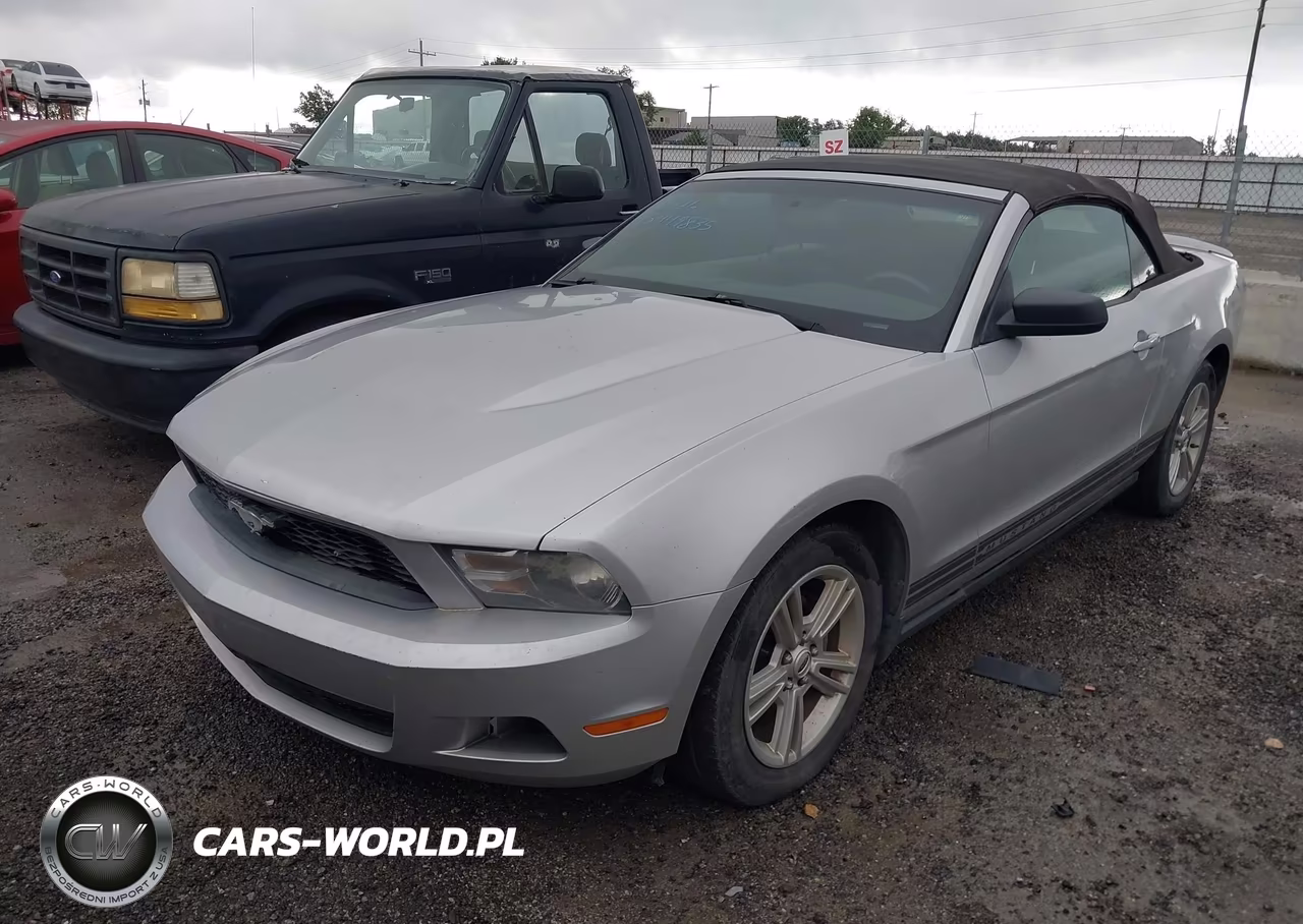 2010 Ford Mustang V6-V6 Premium VIN:1ZVBP8EN8A5174097 - 2