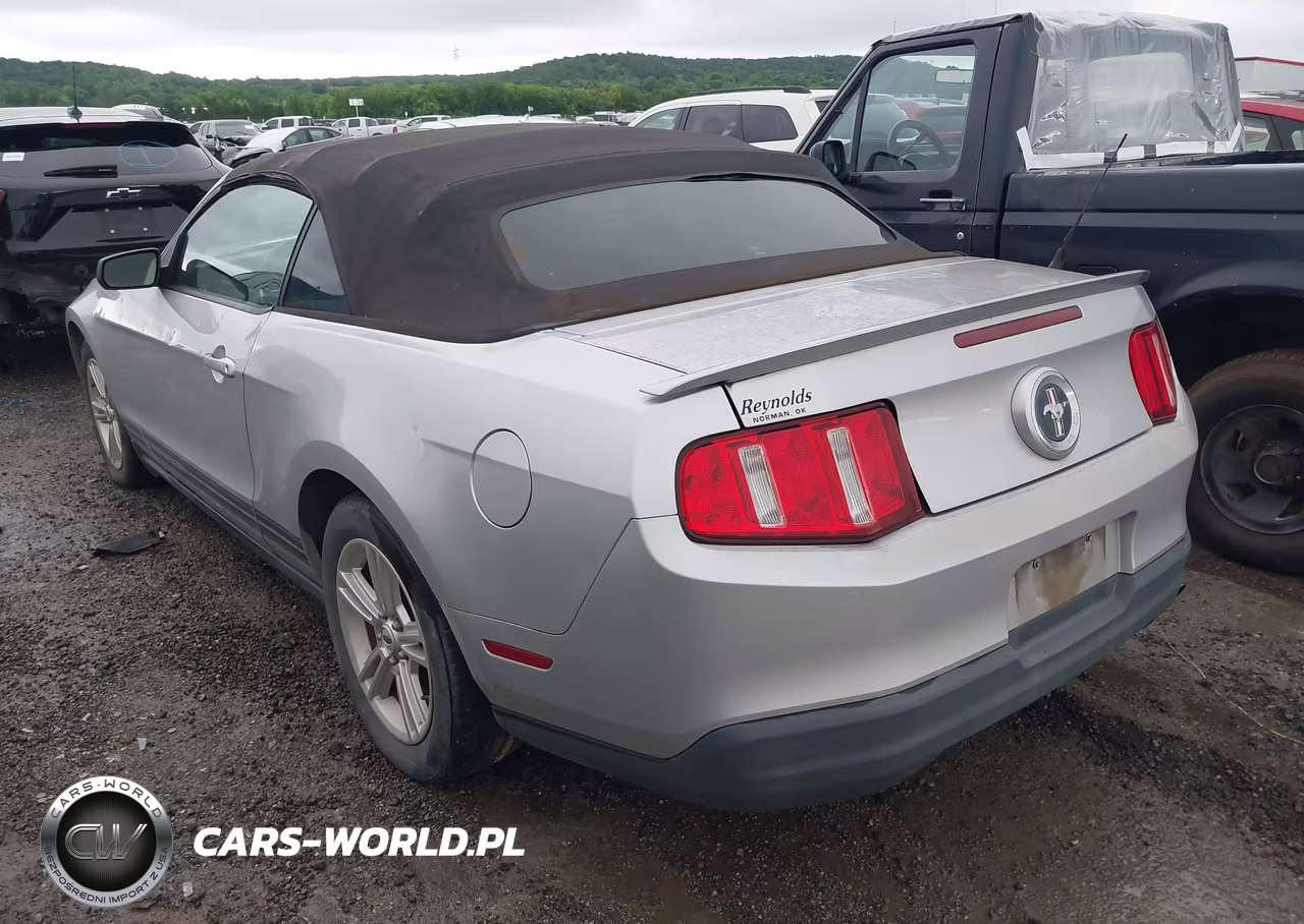 2010 Ford Mustang V6-V6 Premium VIN:1ZVBP8EN8A5174097 - 3