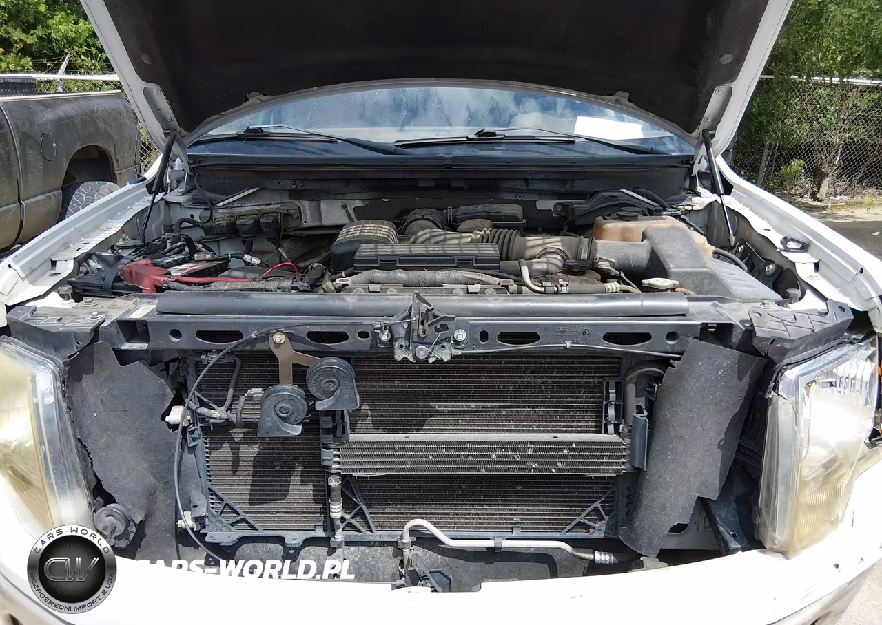 2010 Ford F-150 Fx4-Harley-Davidson-King Ranch-Lariat-Platinum-Xl-Xlt VIN:1FTFW1EV8AKA73769 - 10