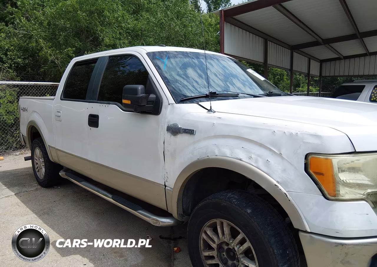 2010 Ford F-150 Fx4-Harley-Davidson-King Ranch-Lariat-Platinum-Xl-Xlt VIN:1FTFW1EV8AKA73769 - 13