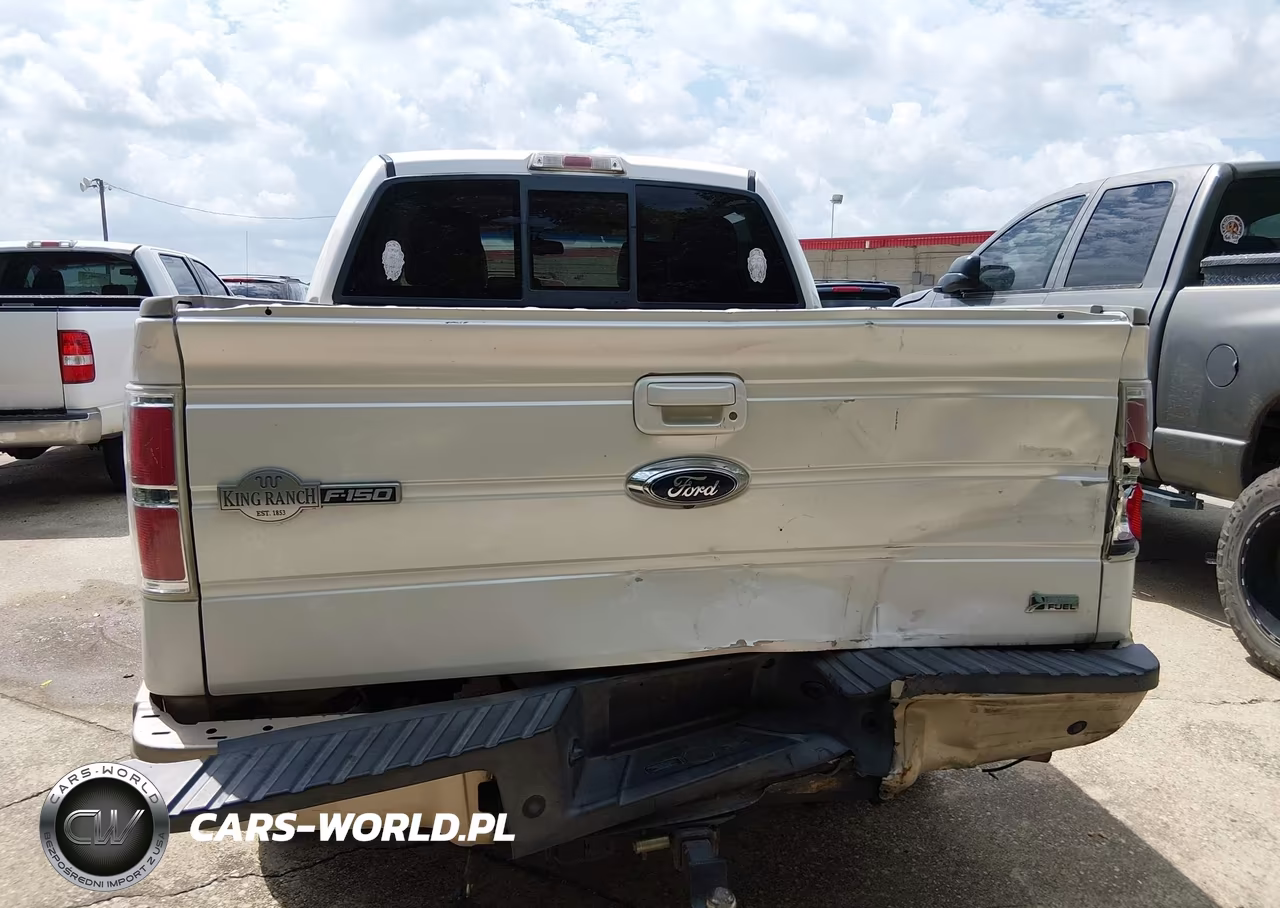 2010 Ford F-150 Fx4-Harley-Davidson-King Ranch-Lariat-Platinum-Xl-Xlt VIN:1FTFW1EV8AKA73769 - 16