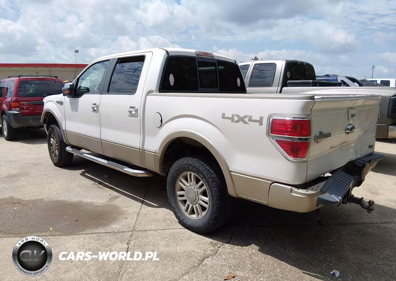 2010 Ford F-150 Fx4-Harley-Davidson-King Ranch-Lariat-Platinum-Xl-Xlt VIN:1FTFW1EV8AKA73769 - 3