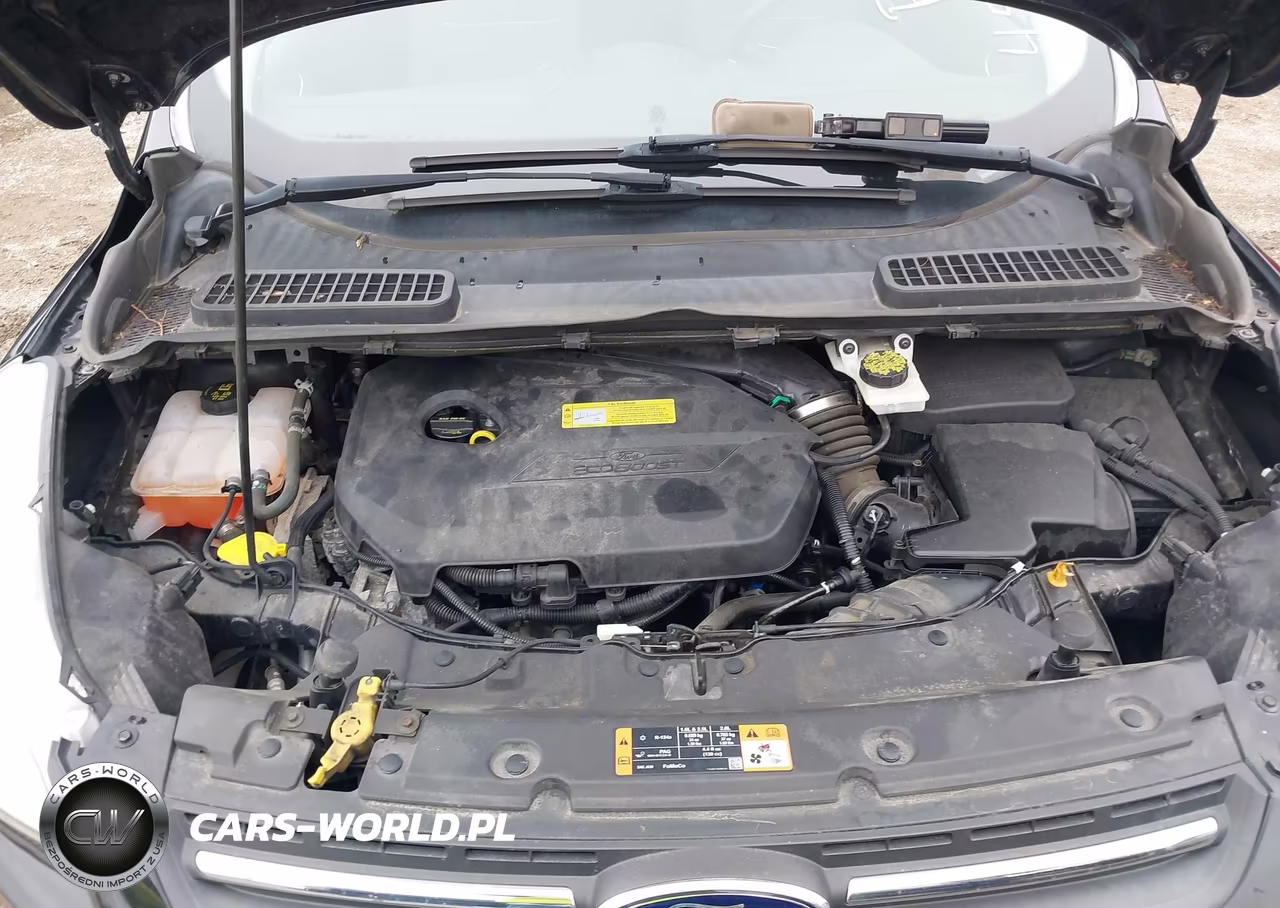2014 Ford Escape Se VIN:1FMCU0GX2EUC42787 - 10