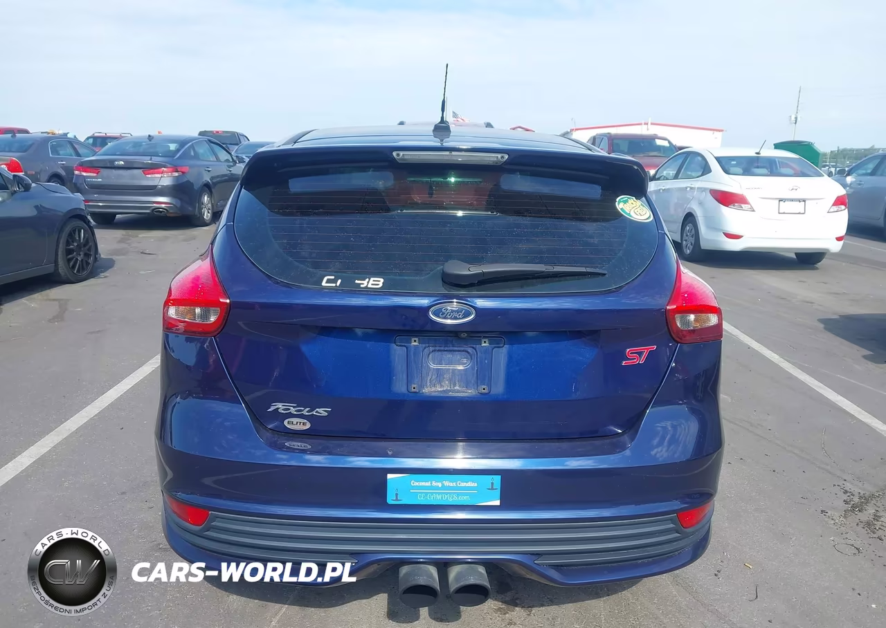 2016 Ford Focus St VIN:1FADP3L90GL249955 - 16