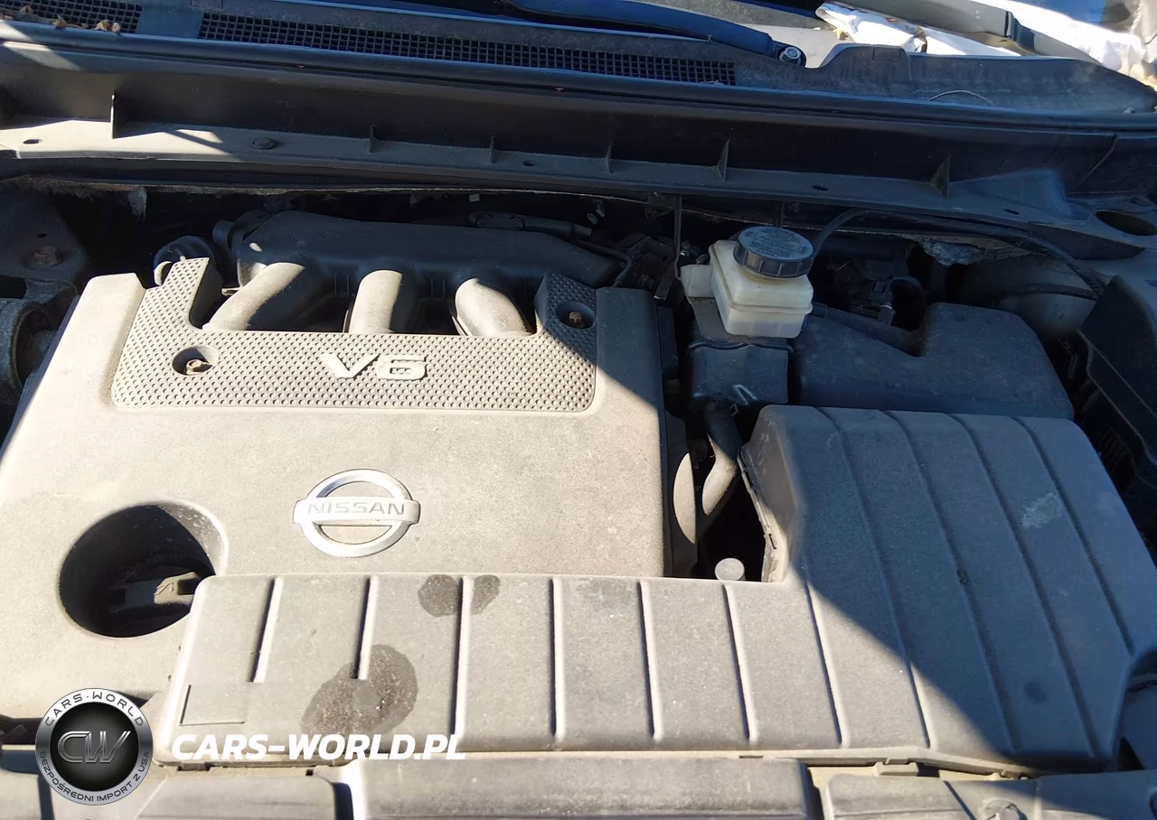 2009 Nissan Murano Sl VIN:JN8AZ18W69W123857 - 10