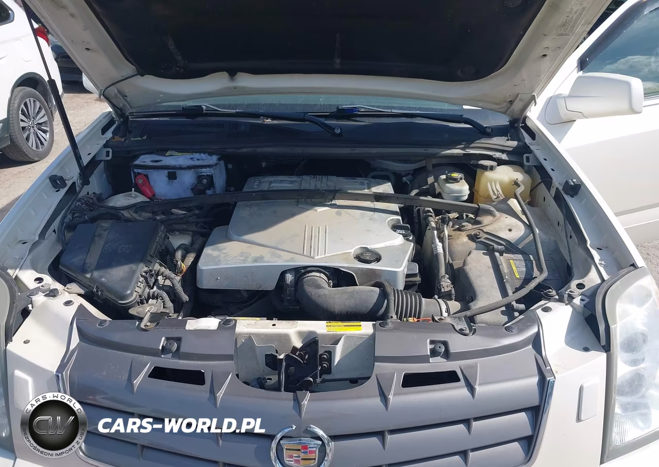 2005 Cadillac Srx V6 VIN:1GYEE637150211566 - 10
