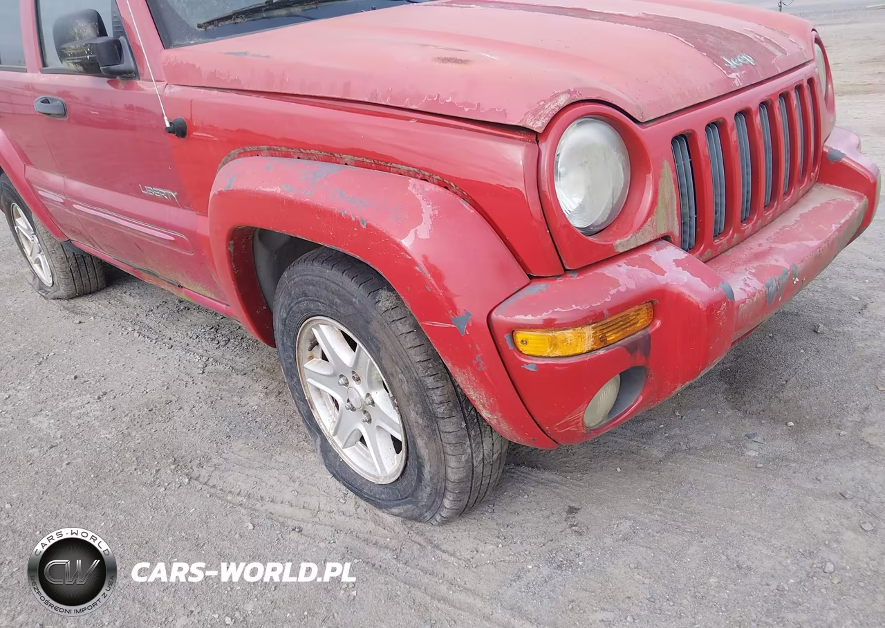 2004 Jeep Liberty Limited Edition VIN:1J4GK58K84W209401 - 6