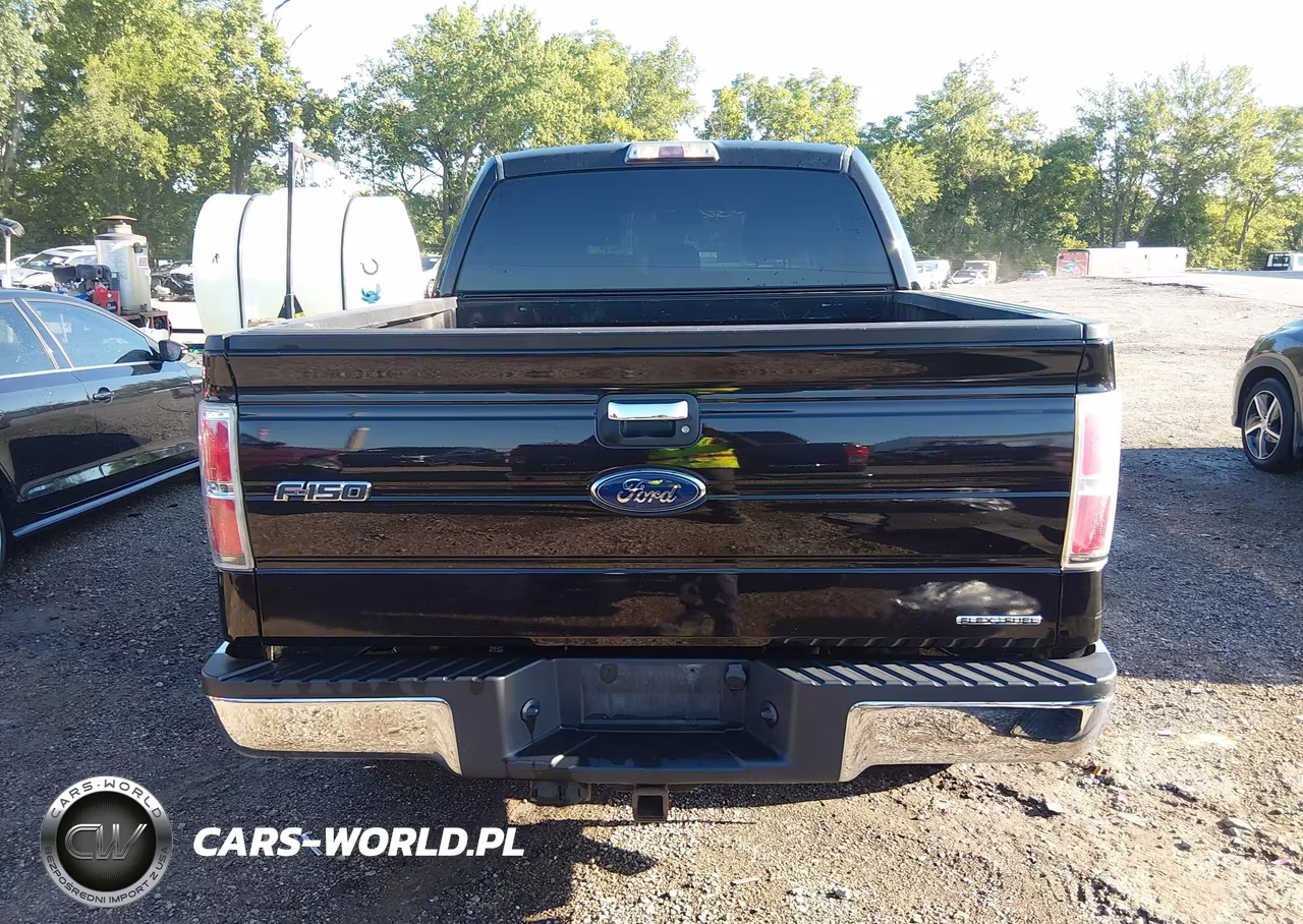 2013 Ford F-150 Xlt VIN:1FTFW1EF7DFD93140 - 16