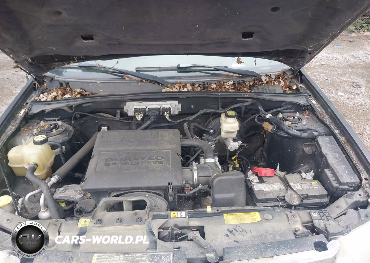 2009 Ford Escape Limited VIN:1FMCU04G59KB35139 - 10