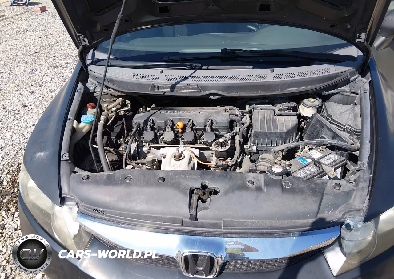2009 Honda Civic Lx VIN:2HGFA16519H303945 - 10