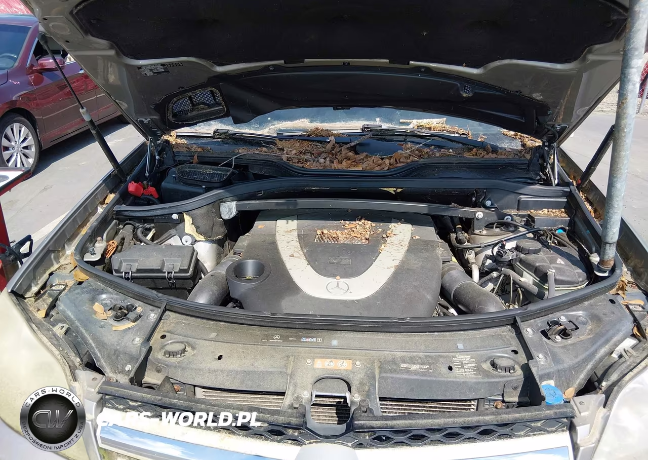 2008 Mercedes-Benz Gl-Class 4.6L VIN:4JGBF71E08A325579 - 10
