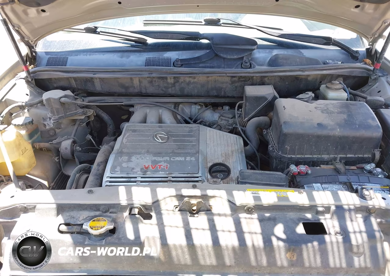 1999 Lexus Rx 300 VIN:JT6HF10U4X0005603 - 10