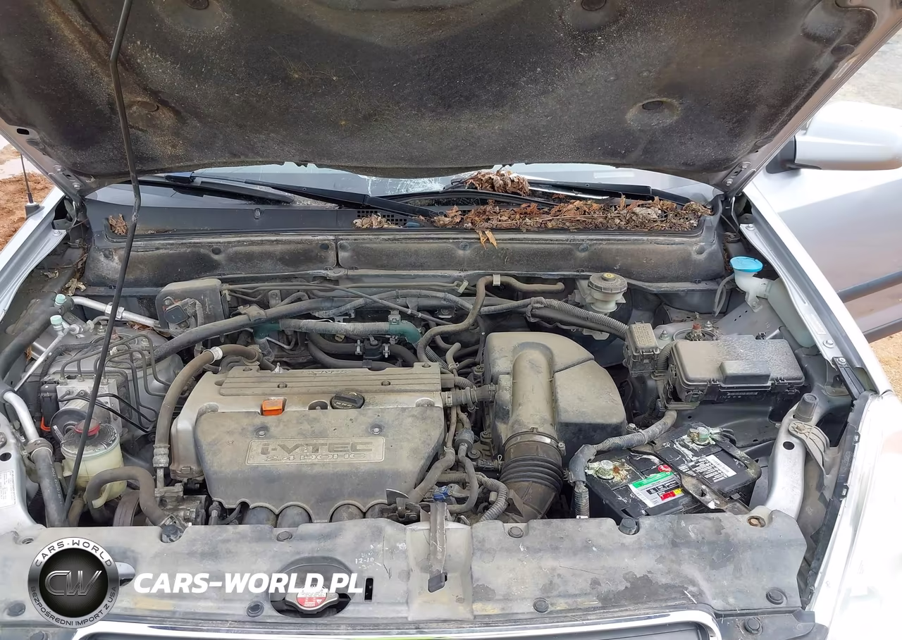 2005 Honda Cr-V Ex VIN:JHLRD78845C060564 - 10