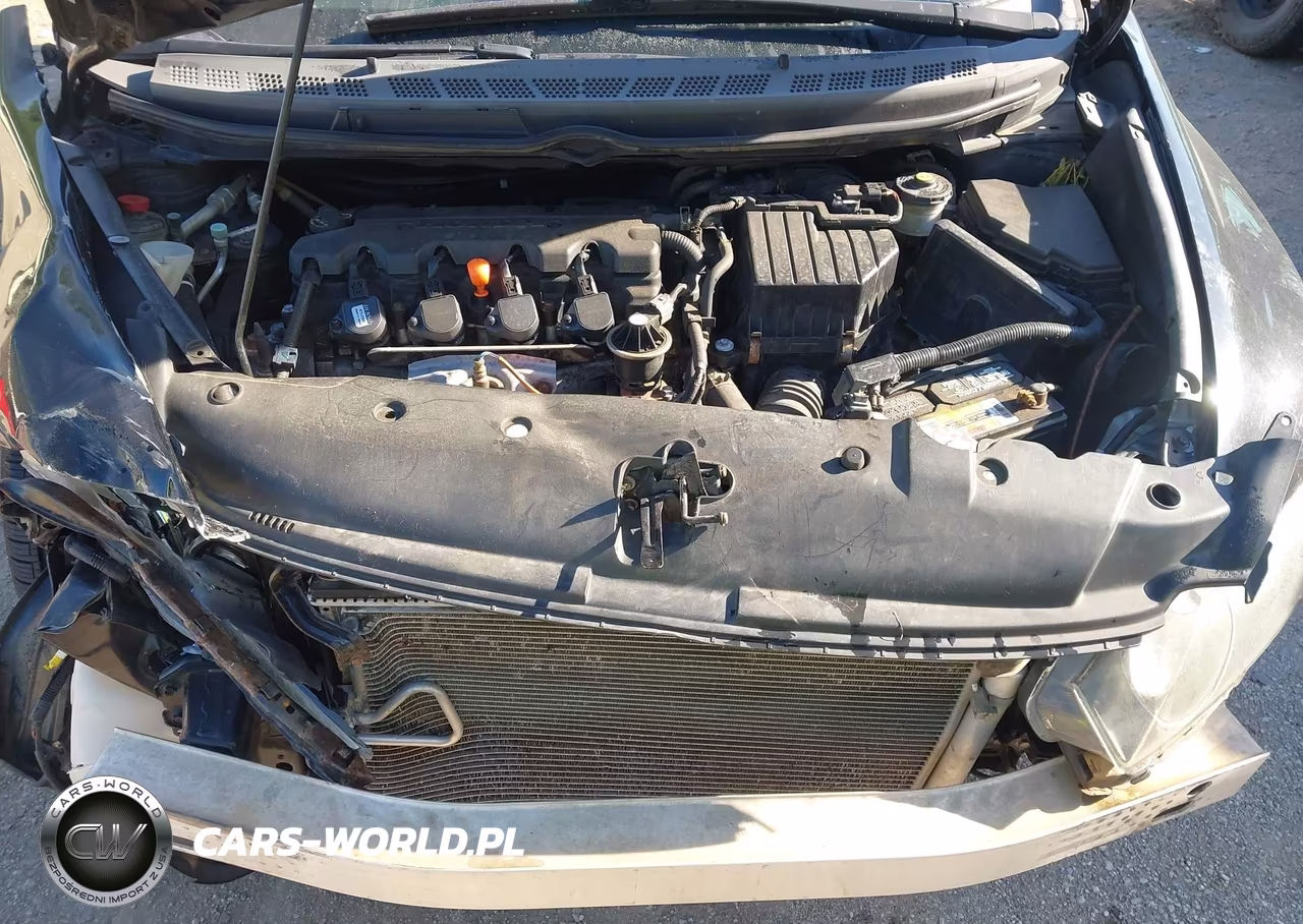 2009 Honda Civic Lx VIN:19XFA16519E000271 - 10