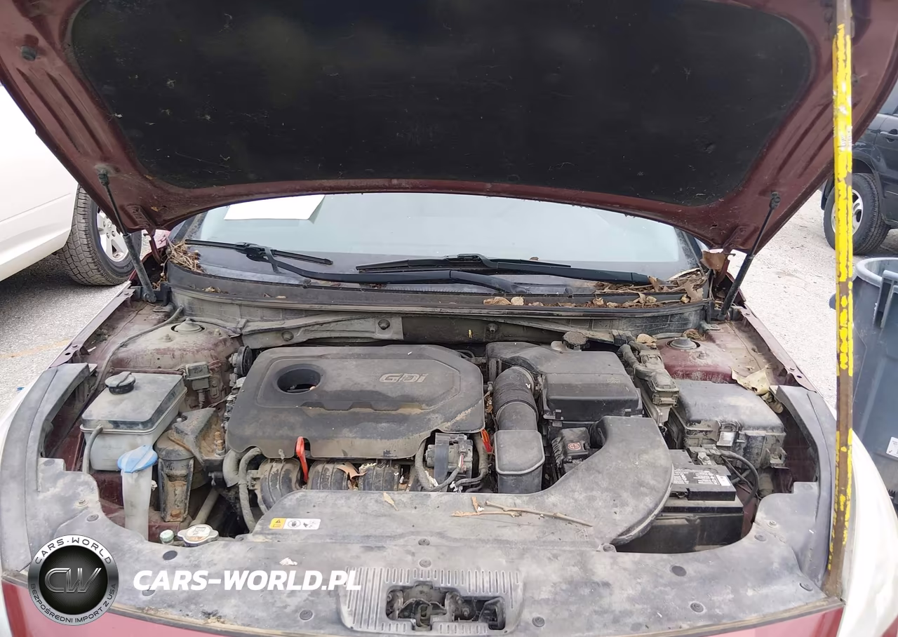 2015 Hyundai Sonata Se VIN:5NPE24AF7FH157353 - 10