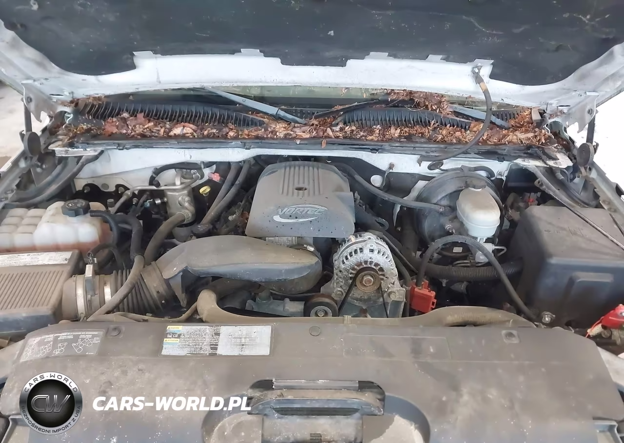 2005 Chevrolet Silverado 1500 Ls VIN:1GCEC19T65Z147636 - 10