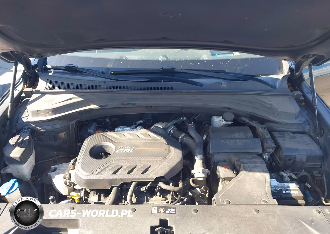 2019 Hyundai Santa Fe Ultimate 2.0T VIN:5NMS53AA8KH120716 - 10