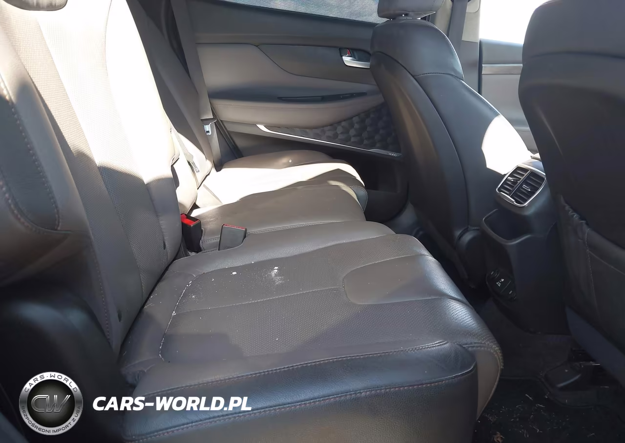 2019 Hyundai Santa Fe Ultimate 2.0T VIN:5NMS53AA8KH120716 - 8