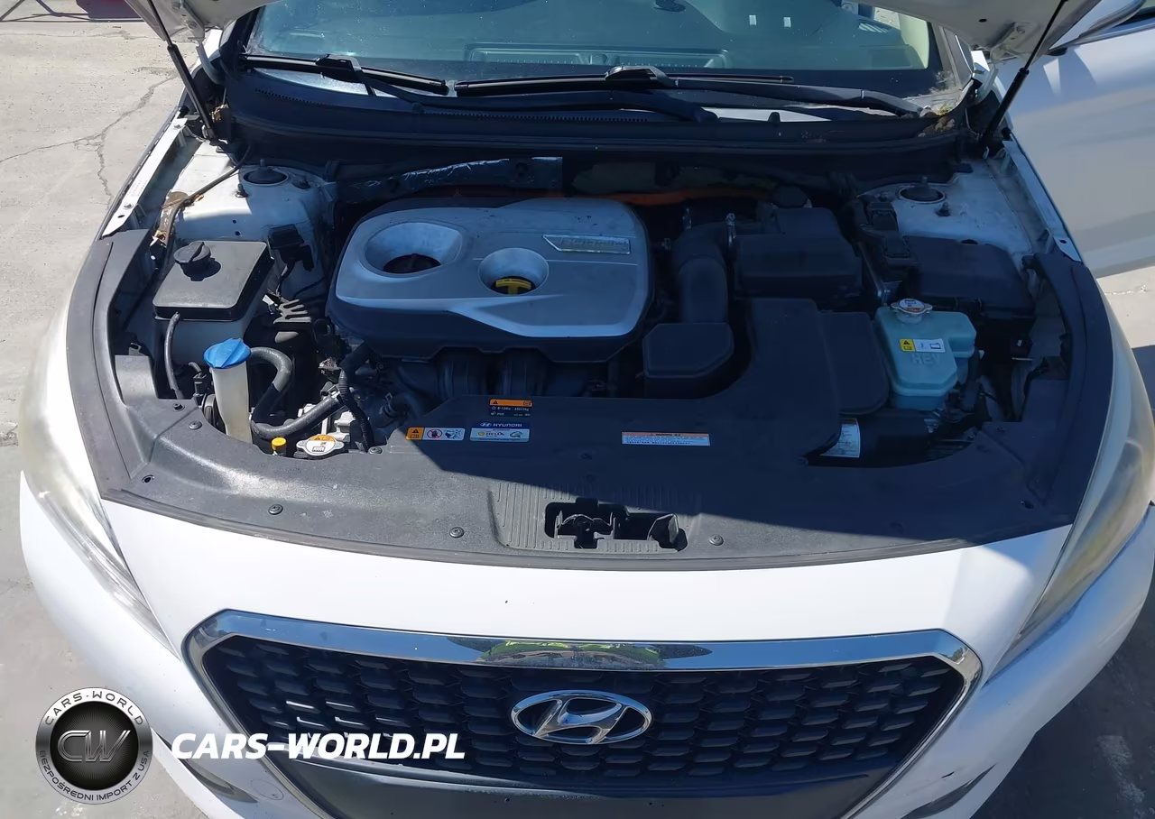 2016 Hyundai Sonata Hybrid Se VIN:KMHE24L14GA011451 - 10