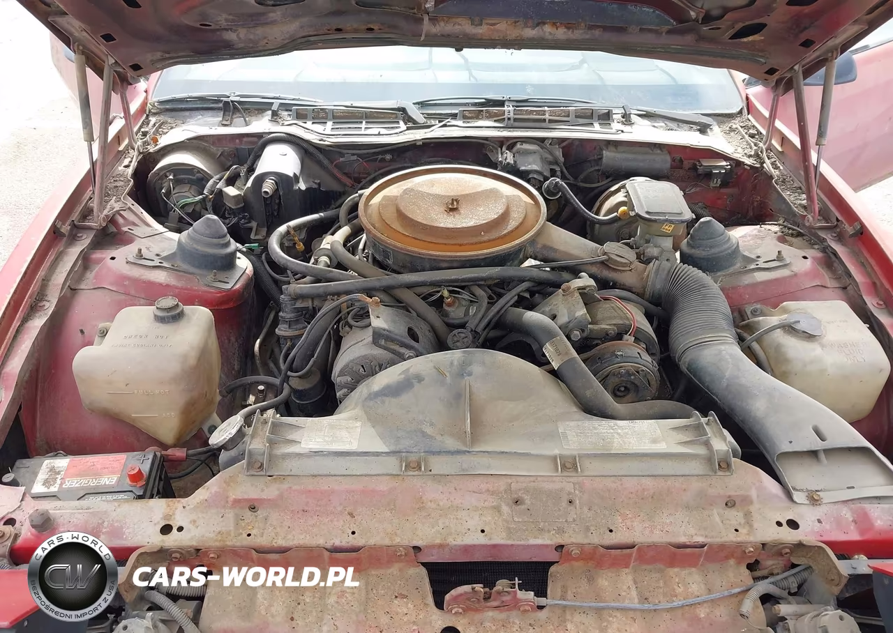 1982 Pontiac Firebird Trans Am VIN:1G2AW87H5CL533160 - 10