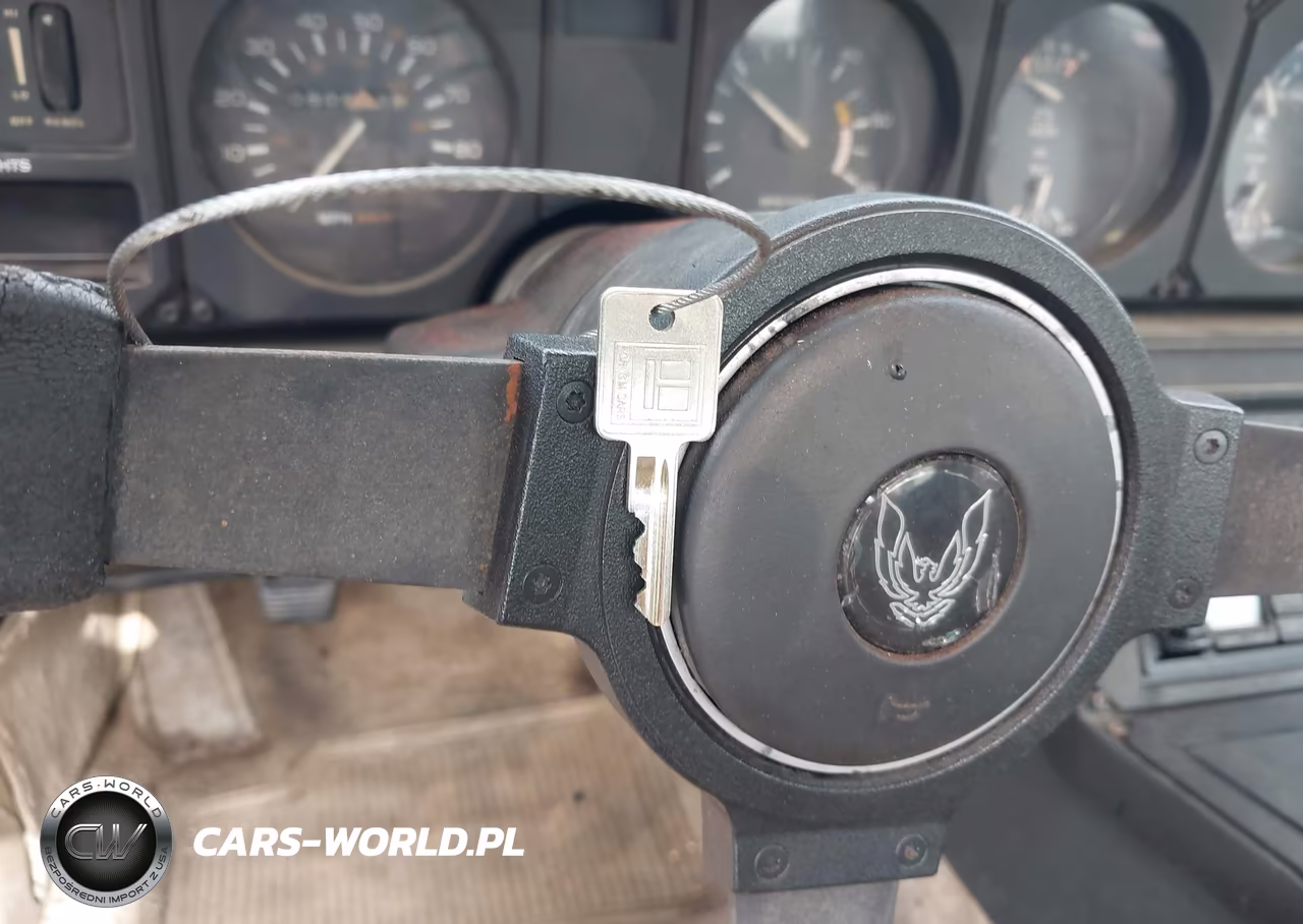 1982 Pontiac Firebird Trans Am VIN:1G2AW87H5CL533160 - 11