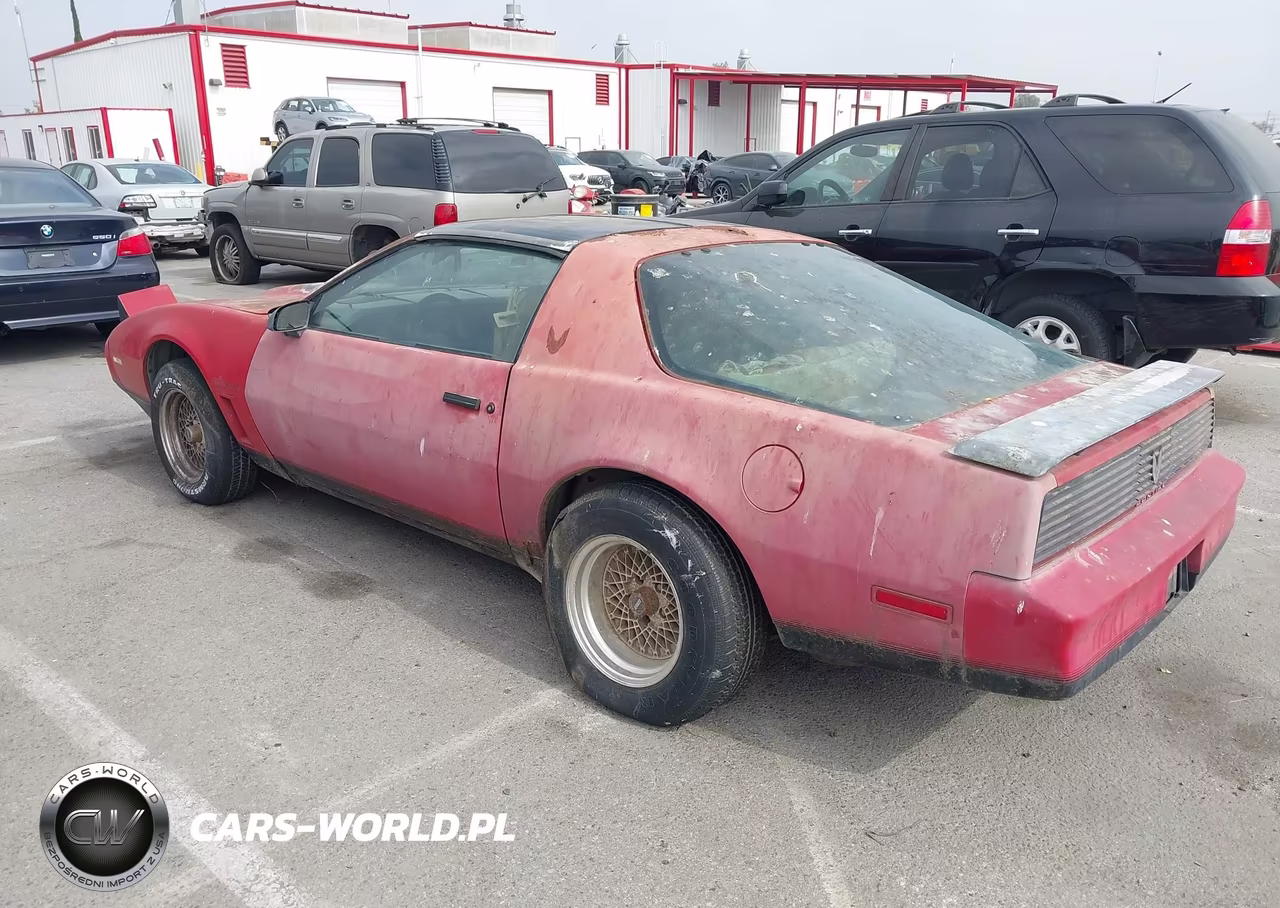 1982 Pontiac Firebird Trans Am VIN:1G2AW87H5CL533160 - 3