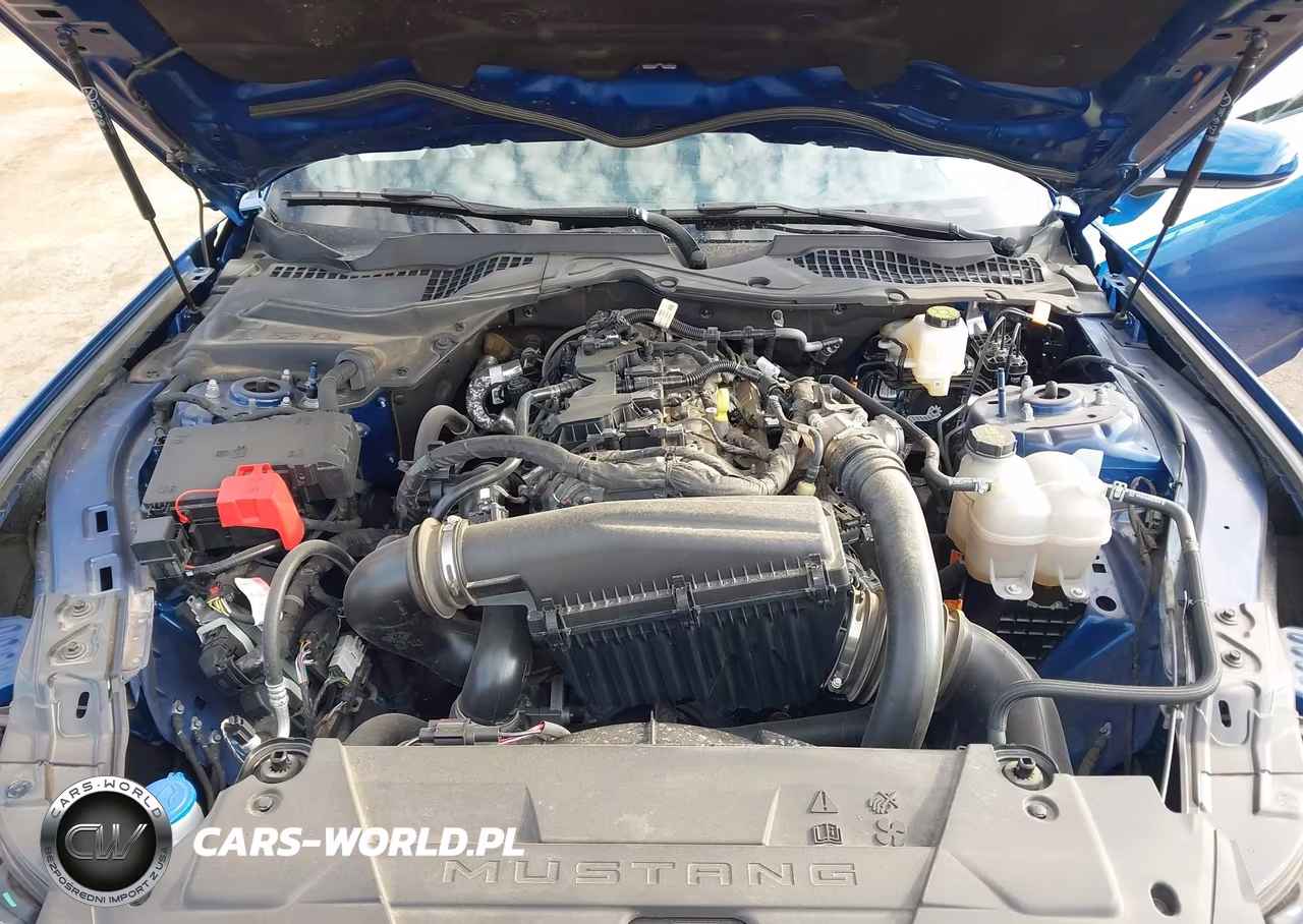 2024 Ford Mustang Ecoboost Fastback VIN:1FA6P8TH7R5137710 - 10