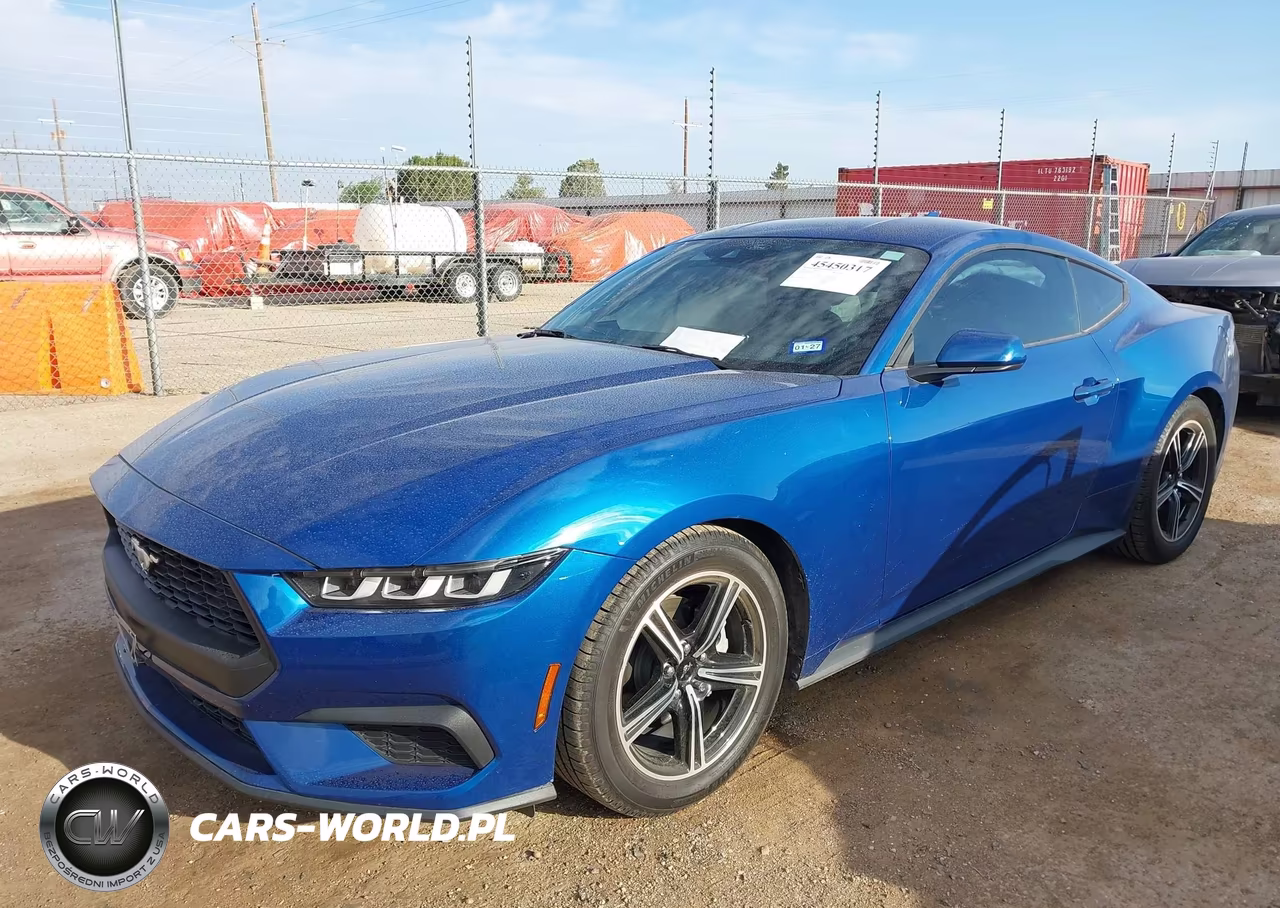 2024 Ford Mustang Ecoboost Fastback VIN:1FA6P8TH7R5137710 - 2