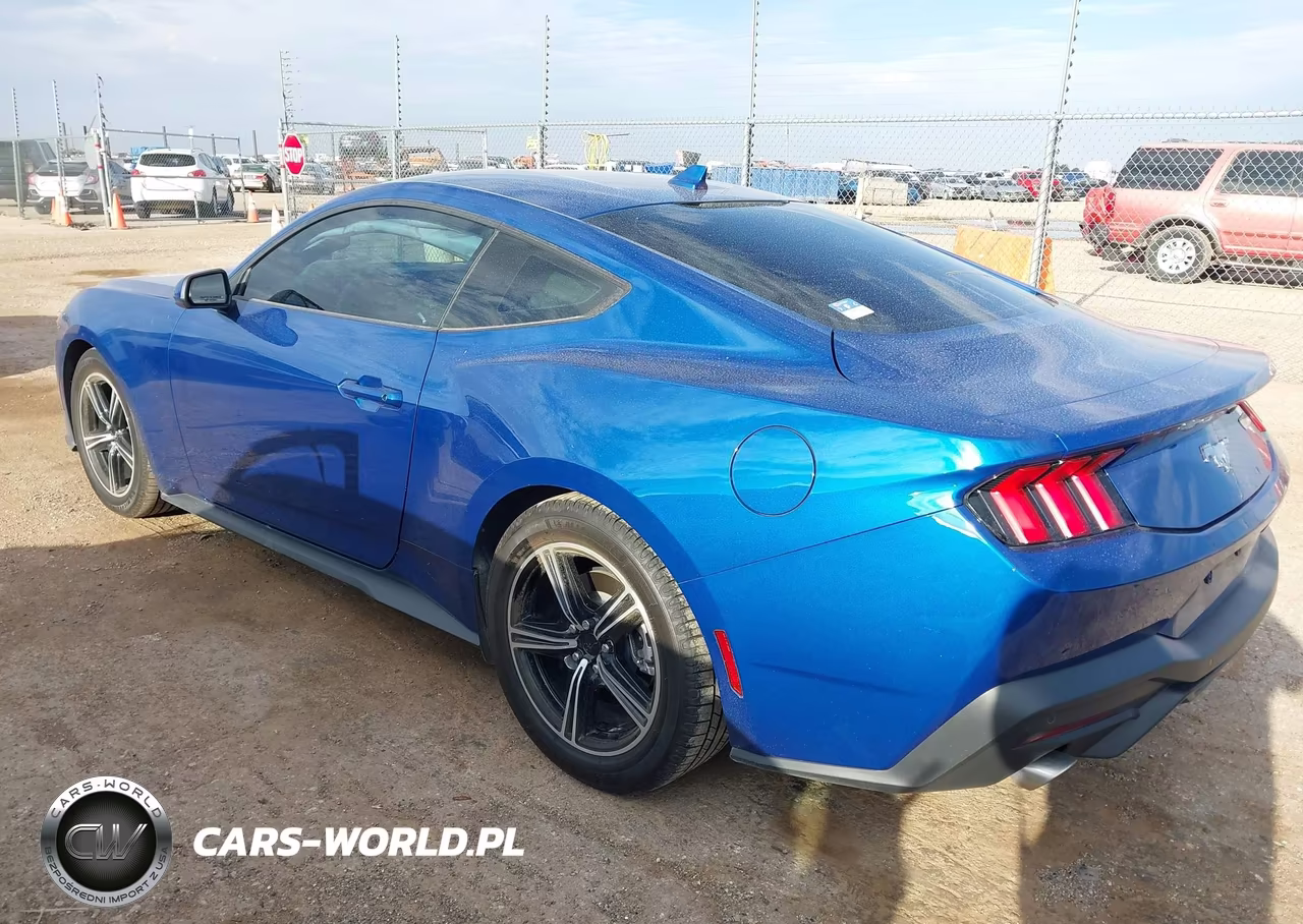 2024 Ford Mustang Ecoboost Fastback VIN:1FA6P8TH7R5137710 - 3