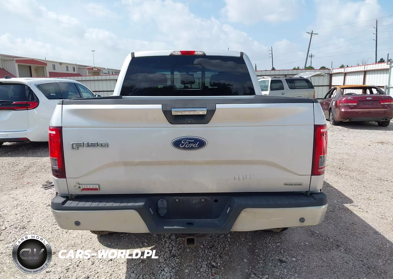 2015 Ford F-150 King Ranch-Lariat-Platinum-Xl-Xlt VIN:1FTEW1EF5FKE47007 - 16