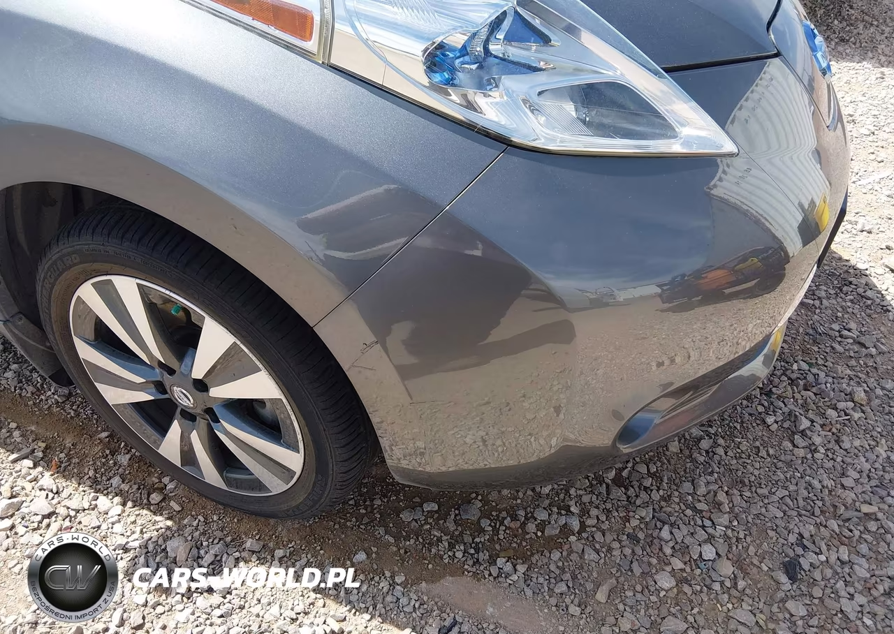 2017 Nissan Leaf Sl VIN:1N4BZ0CP6HC307440 - 15