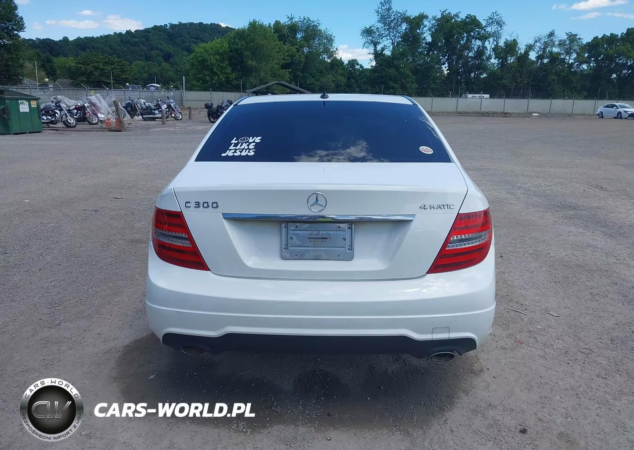 2013 Mercedes-Benz C 300 Sport 4Matic VIN:WDDGF8AB6DA774139 - 17