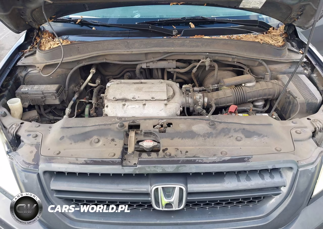 2003 Honda Pilot Ex-L VIN:2HKYF18543H596860 - 10