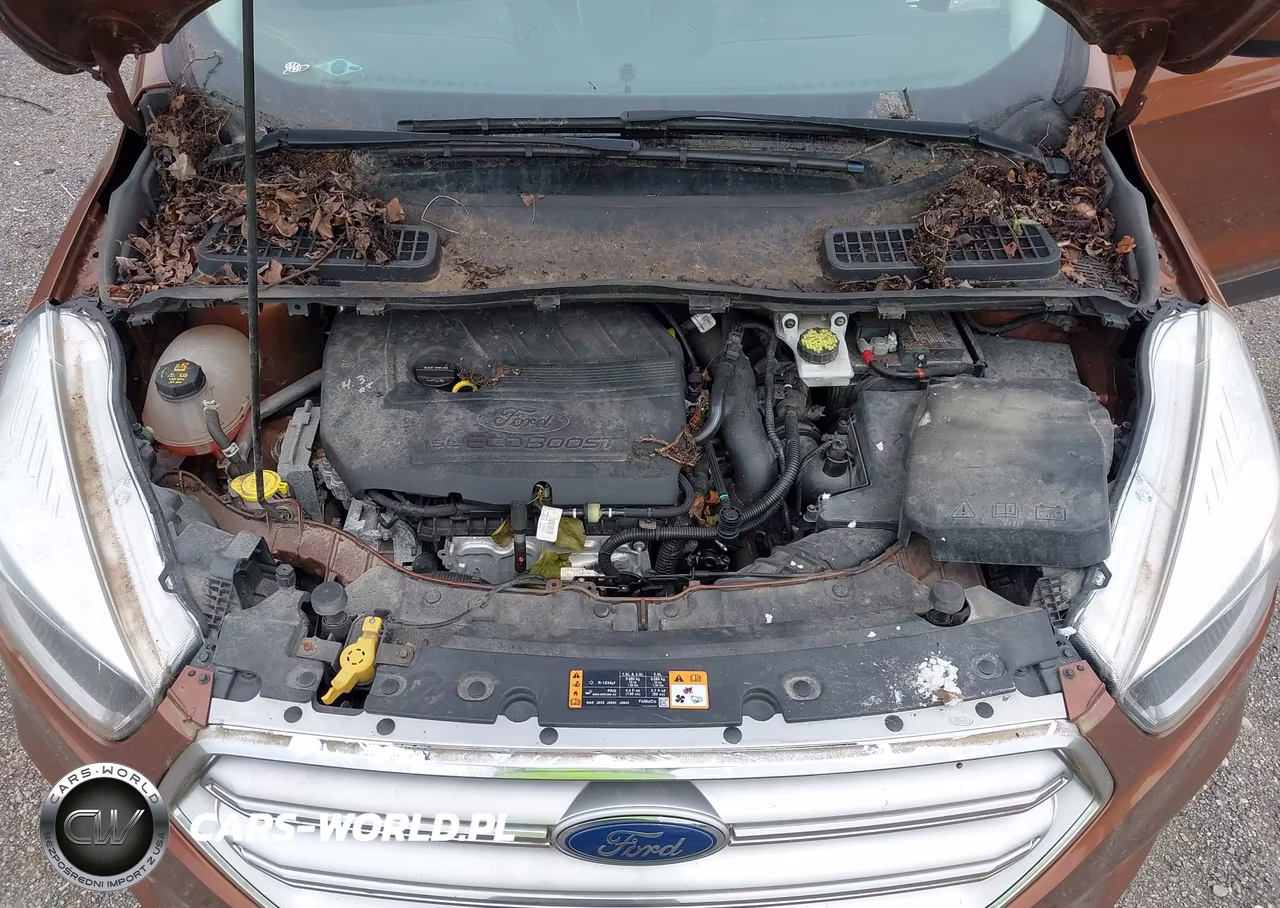 2017 Ford Escape Se VIN:1FMCU9GDXHUB39230 - 10