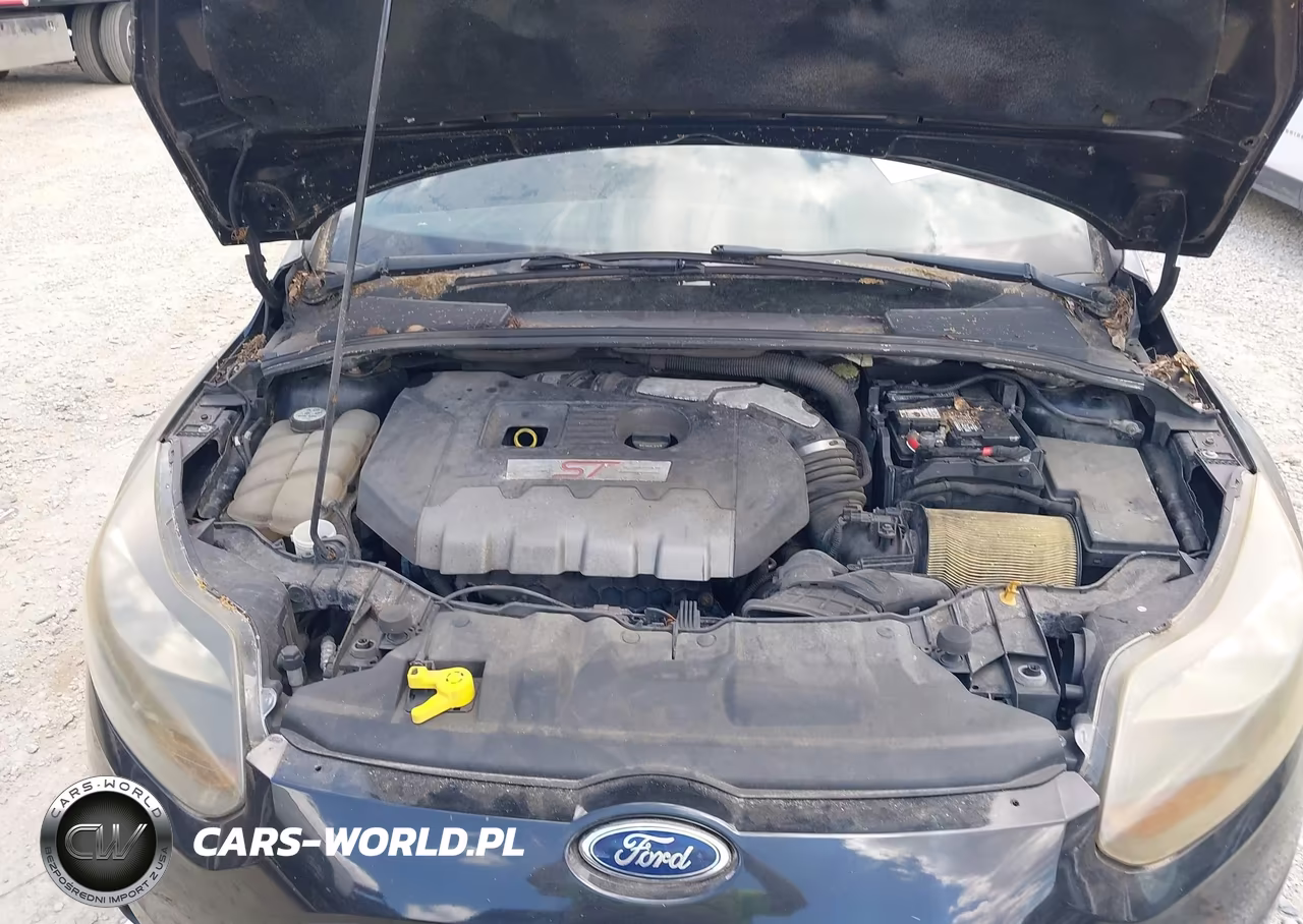 2013 Ford Focus St VIN:1FADP3L92DL127481 - 10