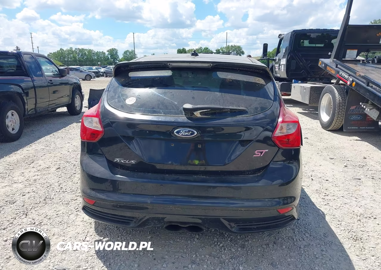 2013 Ford Focus St VIN:1FADP3L92DL127481 - 16