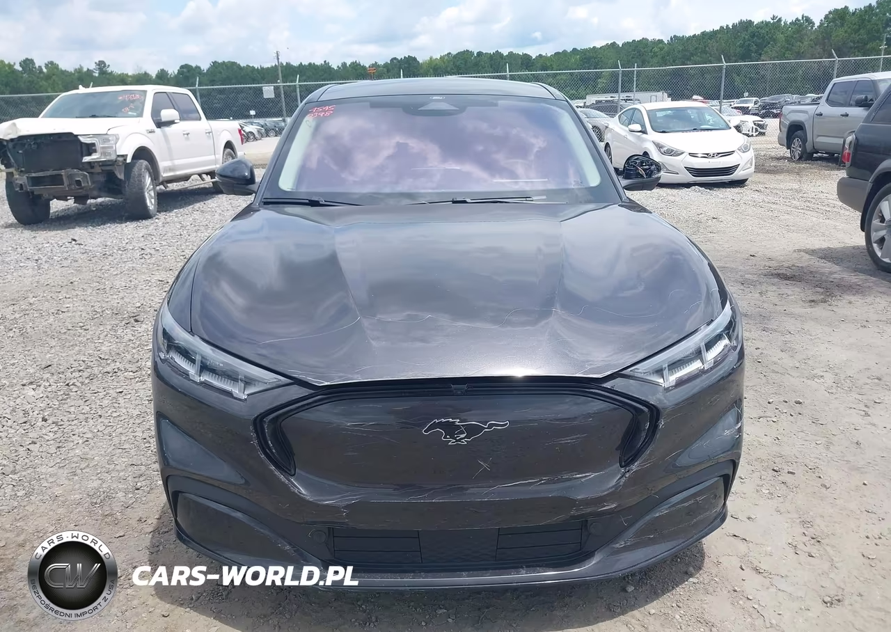 2022 Ford Mustang Mach-E Premium VIN:3FMTK3SU8NMA15399 - 12