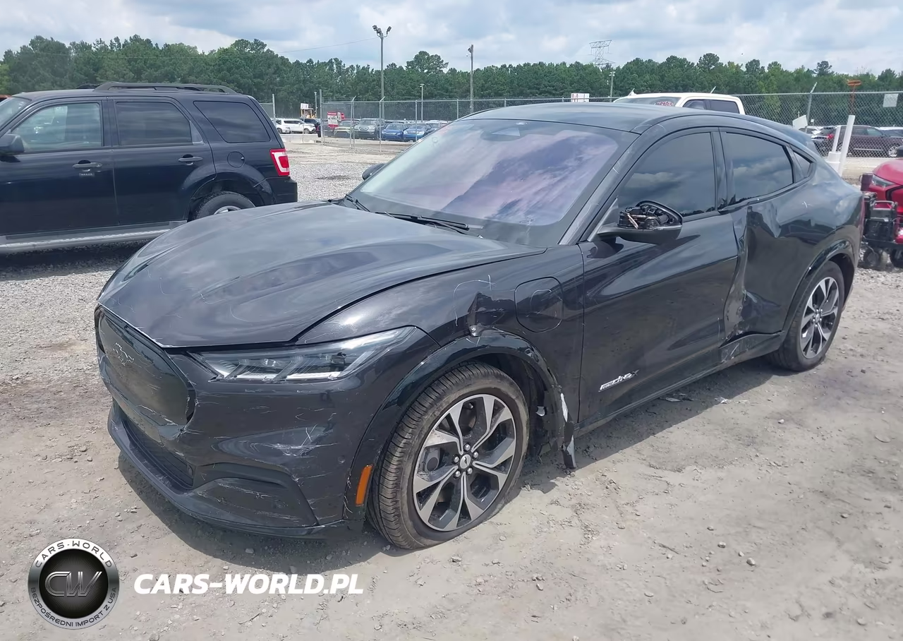 2022 Ford Mustang Mach-E Premium VIN:3FMTK3SU8NMA15399 - 2