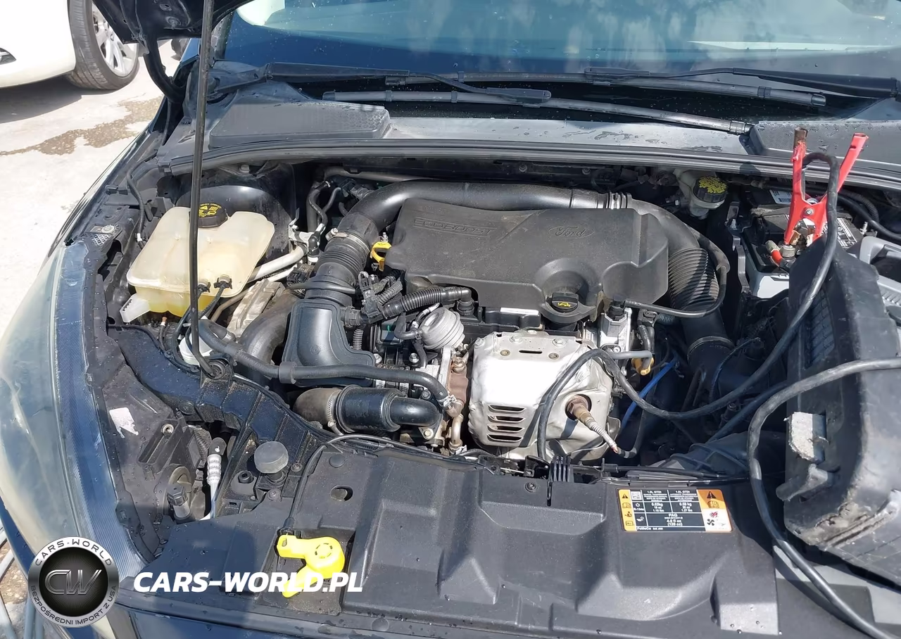 2016 Ford Focus Se VIN:1FADP3FE7GL293430 - 10