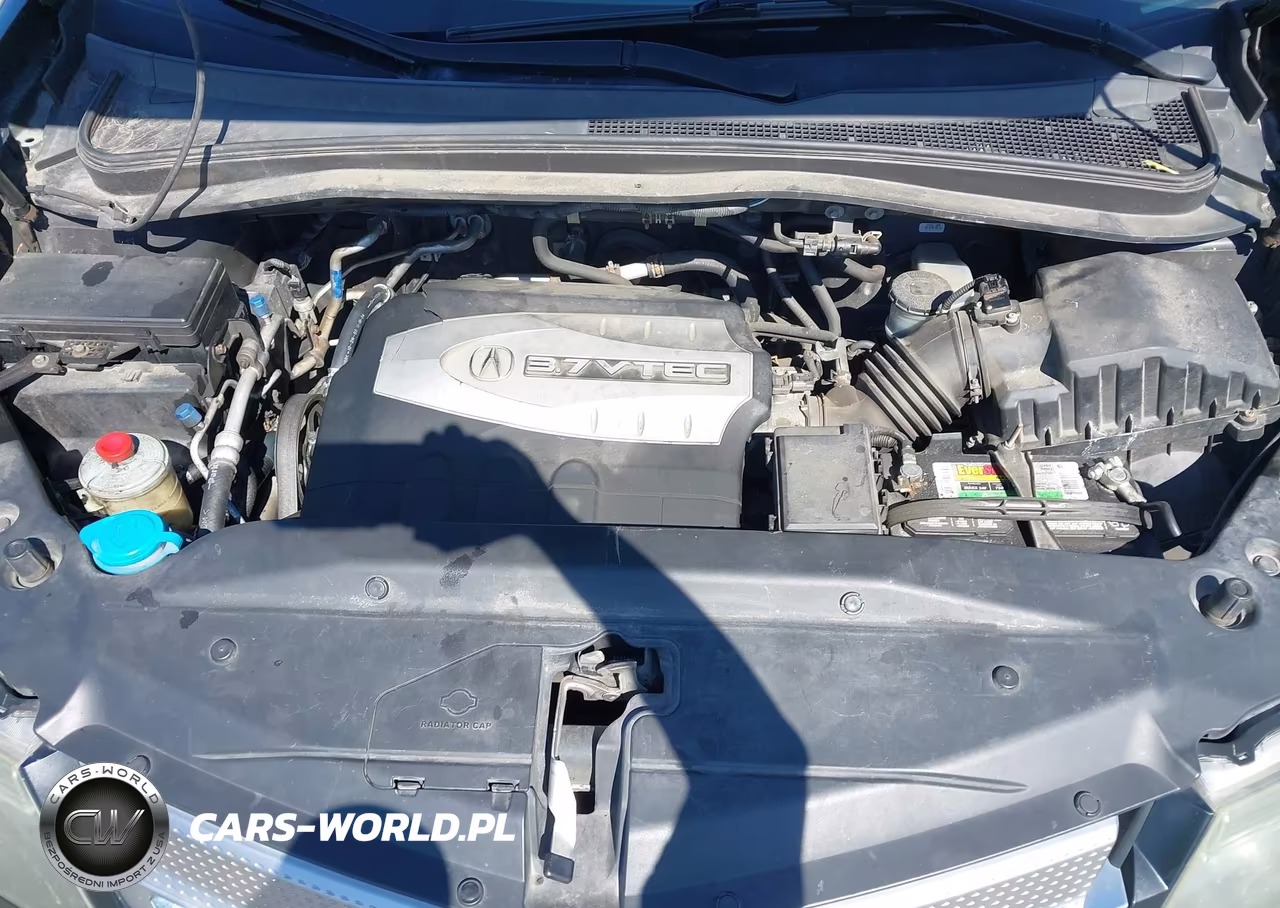 2009 Acura Mdx Technology Package VIN:2HNYD28609H503445 - 10