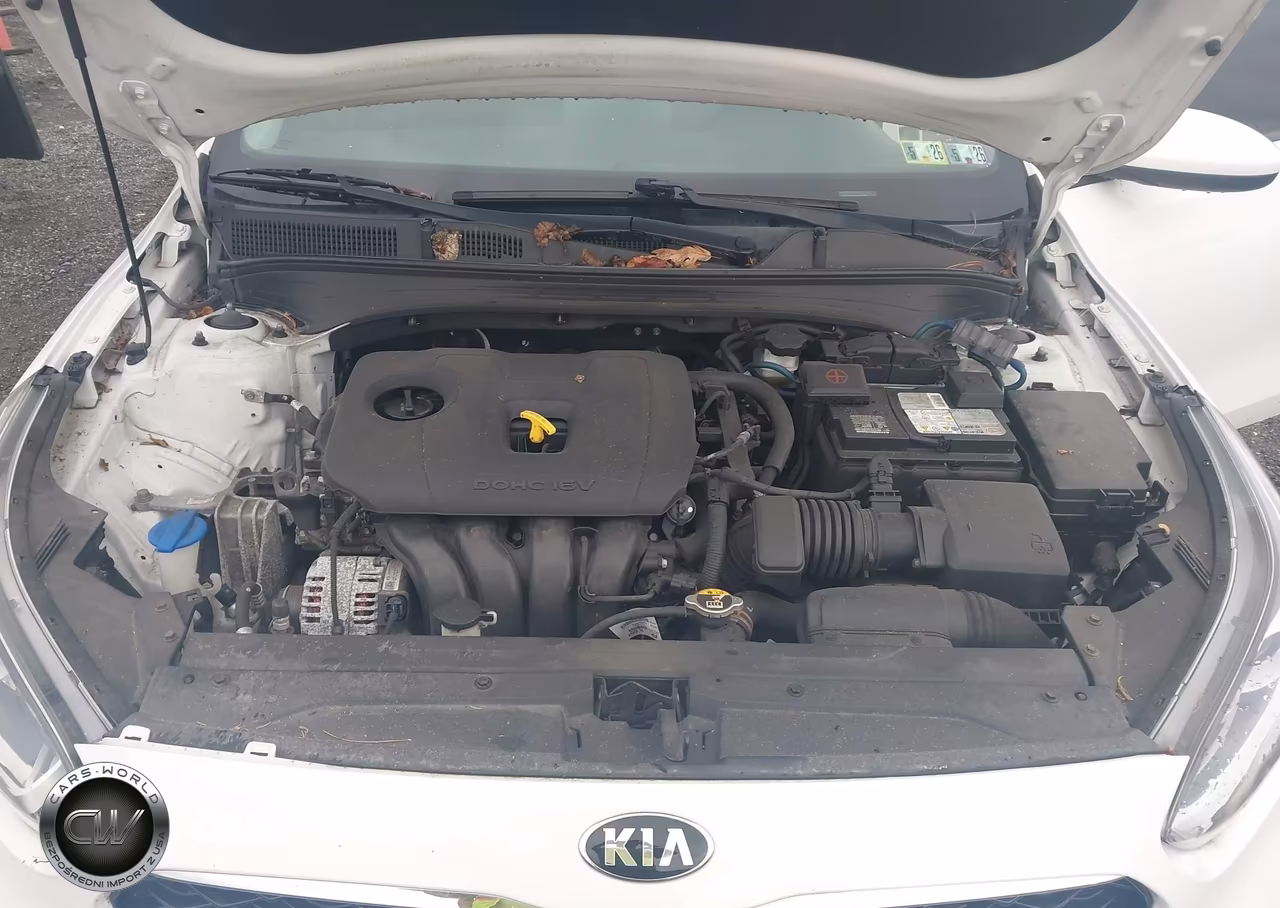 2019 Kia Forte S VIN:3KPF34AD9KE044891 - 10