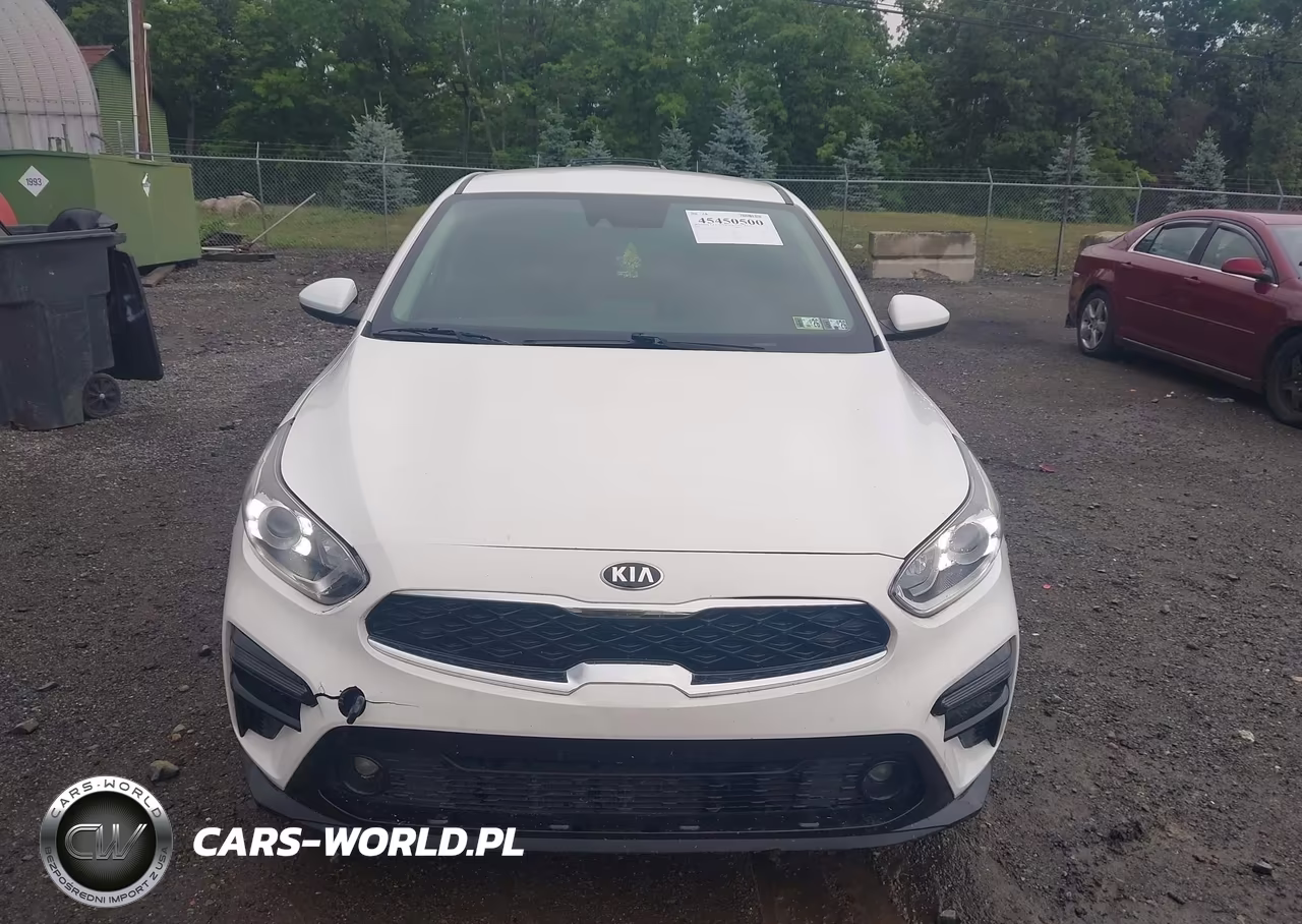 2019 Kia Forte S VIN:3KPF34AD9KE044891 - 12