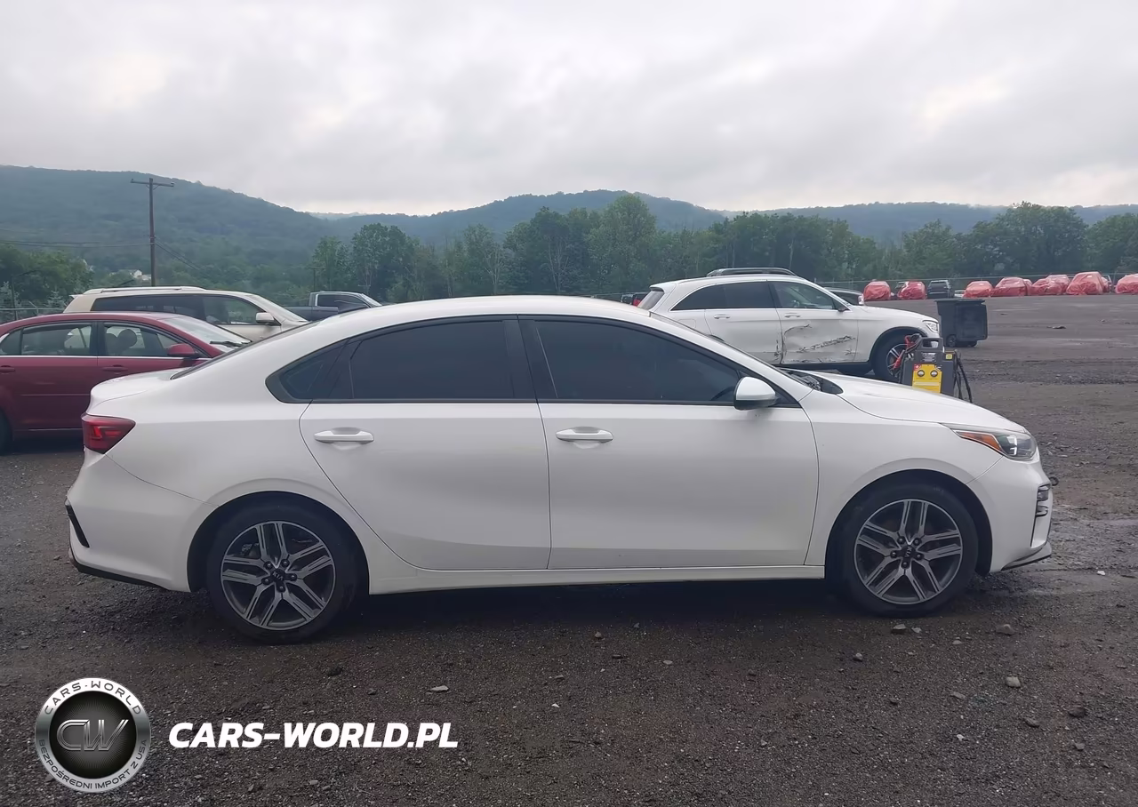 2019 Kia Forte S VIN:3KPF34AD9KE044891 - 13
