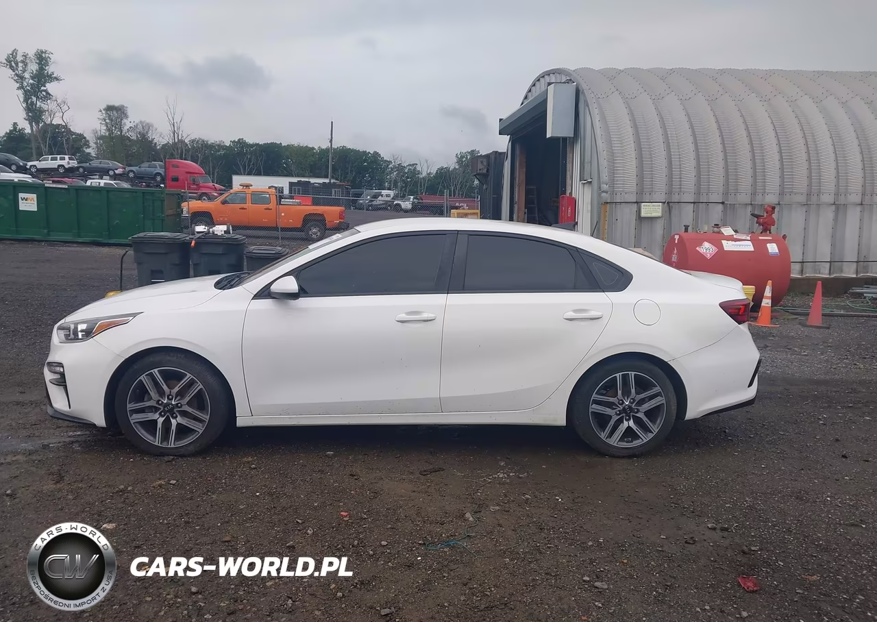 2019 Kia Forte S VIN:3KPF34AD9KE044891 - 14