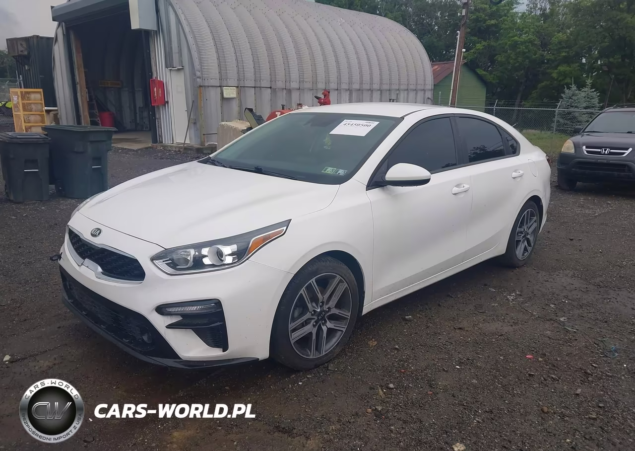 2019 Kia Forte S VIN:3KPF34AD9KE044891 - 2