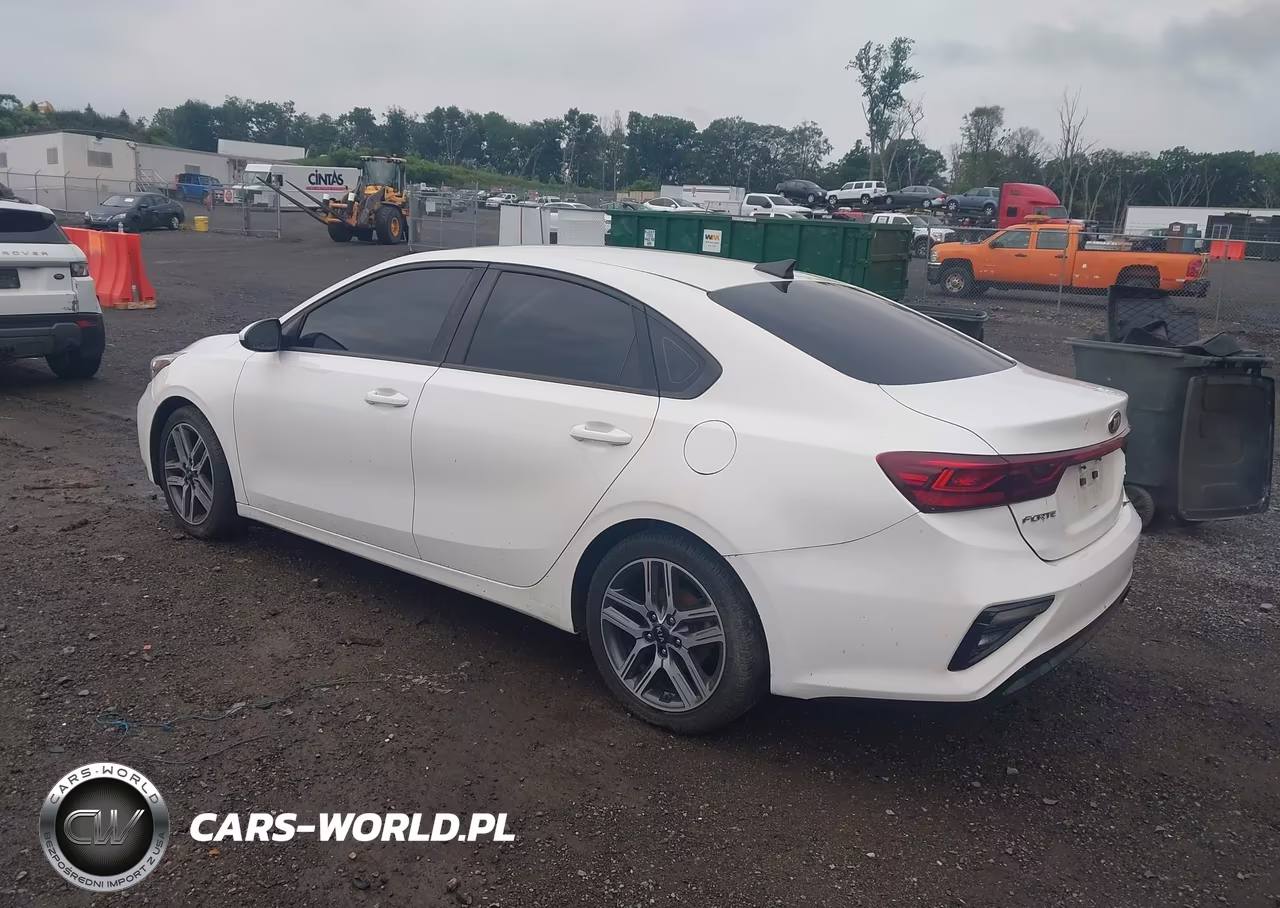 2019 Kia Forte S VIN:3KPF34AD9KE044891 - 3