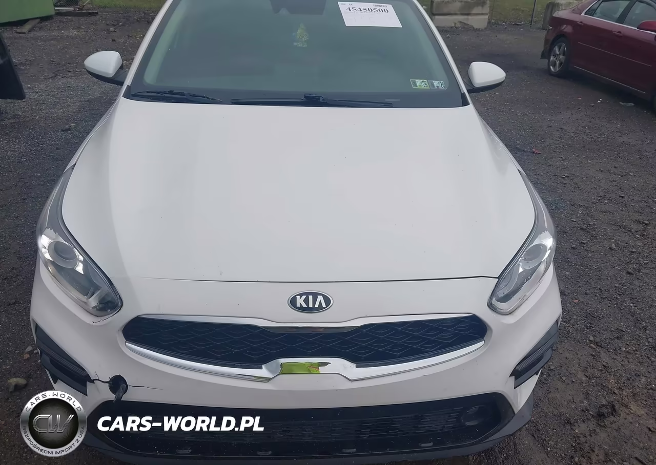 2019 Kia Forte S VIN:3KPF34AD9KE044891 - 6