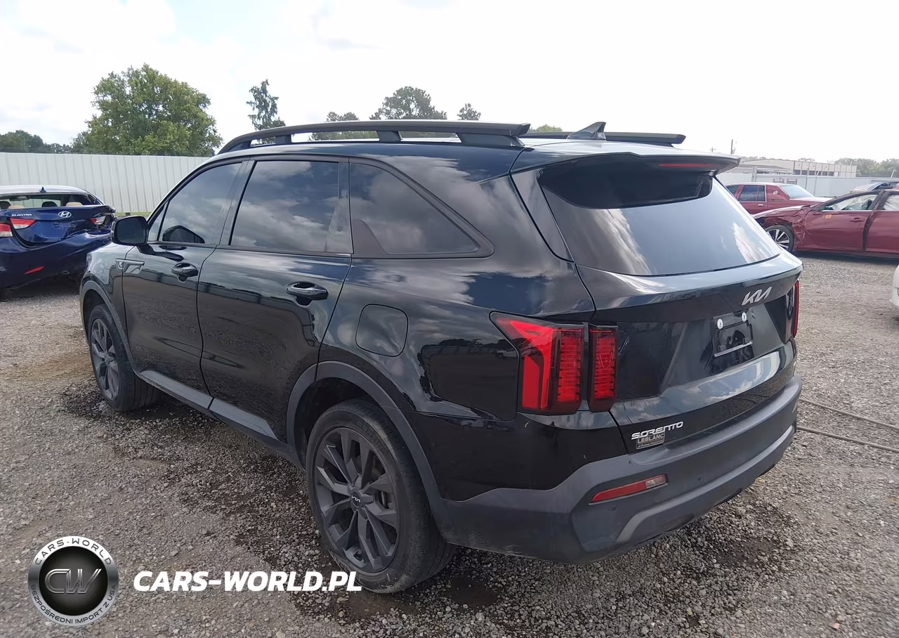 2023 Kia Sorento X-Line Ex VIN:5XYRHDLF8PG211295 - 3