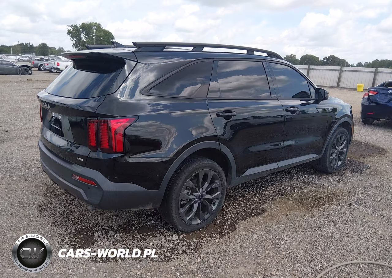 2023 Kia Sorento X-Line Ex VIN:5XYRHDLF8PG211295 - 4